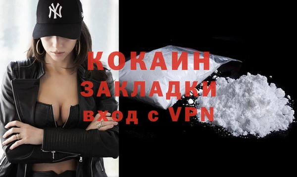 индика Магас