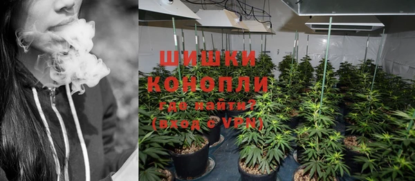стаф Медногорск