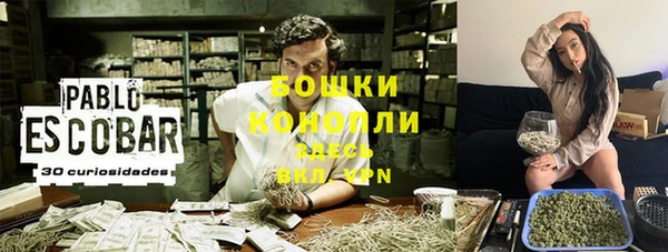 стаф Медногорск