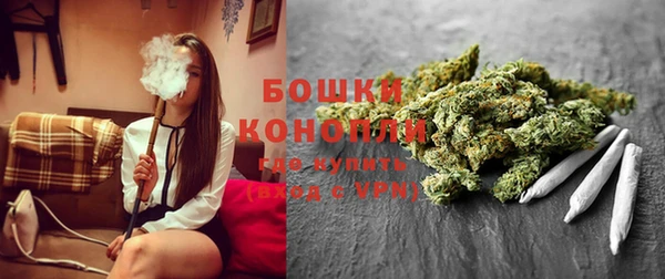 стаф Медногорск