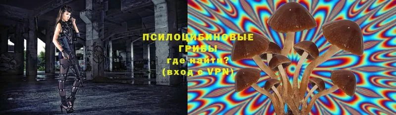 кракен онион  Новоульяновск  Псилоцибиновые грибы Psilocybine cubensis 